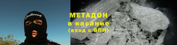 шишки Белая Холуница