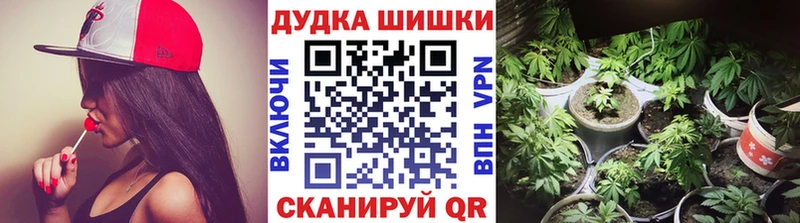 Бошки марихуана планчик  Купить  Нолинск 